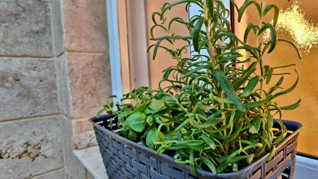 Primrose Boutique Apartment Ashdod Eksteriør billede